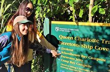 1-Day Cruise in Queen Charlotte Track & Kupes Trail Walk