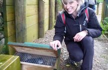 Queen Charlotte Track - Ultimate one Day Walk and Cruise 