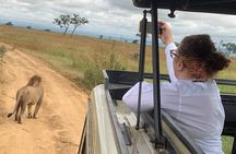3 Days Mikumi National Park Private Tour