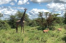 3 Days Mikumi National Park Private Tour