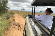 3 Days Mikumi National Park Private Tour
