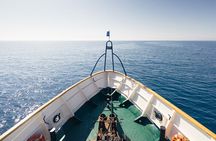 Half-Day Odyssey Guided Boat Safari with Lunch in Cyprus