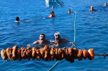 Half-Day Odyssey Guided Boat Safari with Lunch in Cyprus