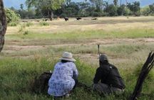 Zambezi National Park Walking Safari with Picnic Break Fast