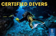 Scuba Diving for Certified Divers in Costa Adeje