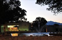 Legends and Night Tour to Tequila from Guadalajara