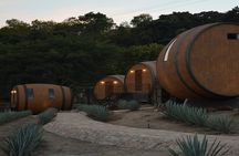 Legends and Night Tour to Tequila from Guadalajara