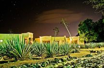 Legends and Night Tour to Tequila from Guadalajara