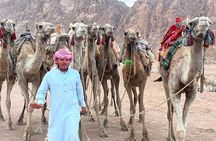 Safari Quad Bike Adventure, Camel, Show, Dinner & Stargazing
