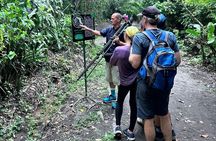 Bogarin Trail Sloth Guided Tour