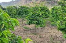 Full-day Tour at Black Mountain in Saudi Arabia 