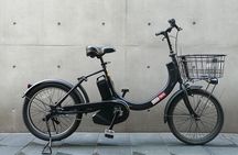 Tokyo 3h: Off the beaten path Ebike tour with knowledgeable guide