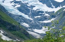Glacier View & Wildlife Adventure Tour