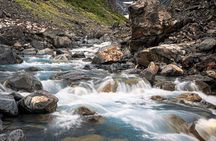 Glacier View & Wildlife Adventure Tour