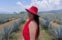 Full Day in Tequila with Tasting and party in Cantaritos