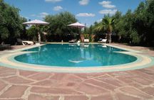 Day pool lunch and camel around Marrakech