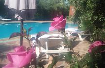Day pool lunch and camel around Marrakech