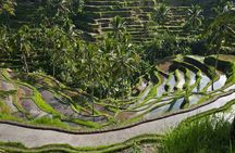 Bali Benoa Shore Excursion for Cruise's Passenger (Private Tour)