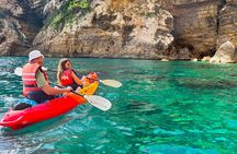 Uncharted Marine Reserve Cave, Snorkel & Cliff Jumping Kayak Tour