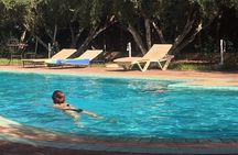 Day pool lunch and camel around Marrakech