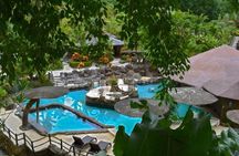 Best of Fortuna from San Jose: Arenal Volcano and Thermal Spa