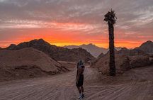 Safari 5 in 1 Quads, Camels, Show, Dinner & Star Gazing in Sharm El Sheikh