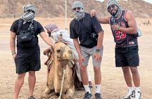 Safari 5 in 1 Quads, Camels, Show, Dinner & Star Gazing in Sharm El Sheikh