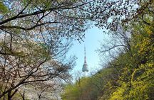 Essence of Seoul, Full Day City tour