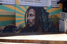 Bob Marley Nine Mile Sightseeing Tour from Ocho Rios