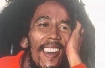 Bob Marley Nine Mile Sightseeing Tour from Ocho Rios