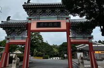 Seogwipo(the southern city of Jeju) Art Museum Walking Tour