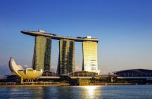 Singapore: 4 Hours - Private Car or Minibus Rental with Driver