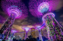Singapore: 4 Hours - Private Car or Minibus Rental with Driver