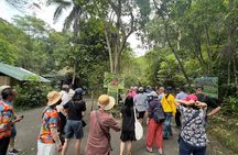 Bohol Day Tour with Round-Trip Transfers from Cebu