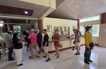 Bohol Day Tour with Round-Trip Transfers from Cebu