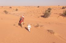 Morning Safari with Camel Ride and Quad Bike Single Seater