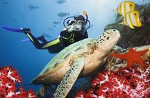 Scuba Diving Experience in Kusadasi with Instructor and Transfer