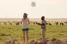 3 Days Tanzania Safari - Emnel Adventures