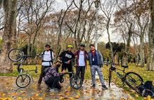 3-Hour Private Bike Tour in Istanbul