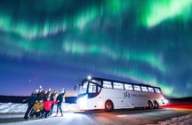 Bus Tour with Hunting Northern Lights