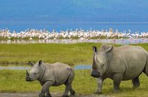 2-Day Private Safari to Lake Nakuru and Hell's Gate Parks