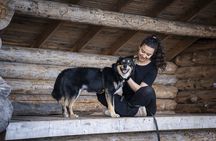 Arctic Hiking with Lappish Dogs