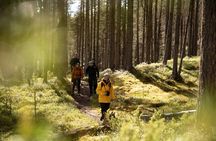 Arctic Hiking with Lappish Dogs