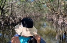 2- Hour Jungle Tour at Prehistoric Preserve Site in Fort Pierce