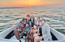 Private Sunset and Dolphin Tour in St. Petersburg, Florida