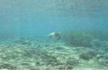 Discover Scuba Diving Amathounta's Ancient Port