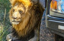 3 Days Private Masai Mara Safari