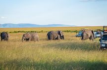 3 Days Private Masai Mara Safari