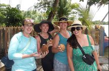 Saint Lucia Bamboo Rafting Experience (Round trip Transfers)