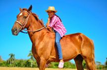  Morning horseback riding tour from Punta Cana